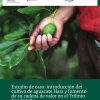 Introducción del cultivo de aguacate Hass y fomento de su cadena de valor en el Trifinio Hondureño